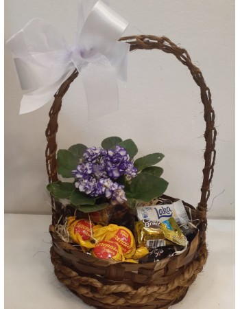 Violeta na cesta com chocolates