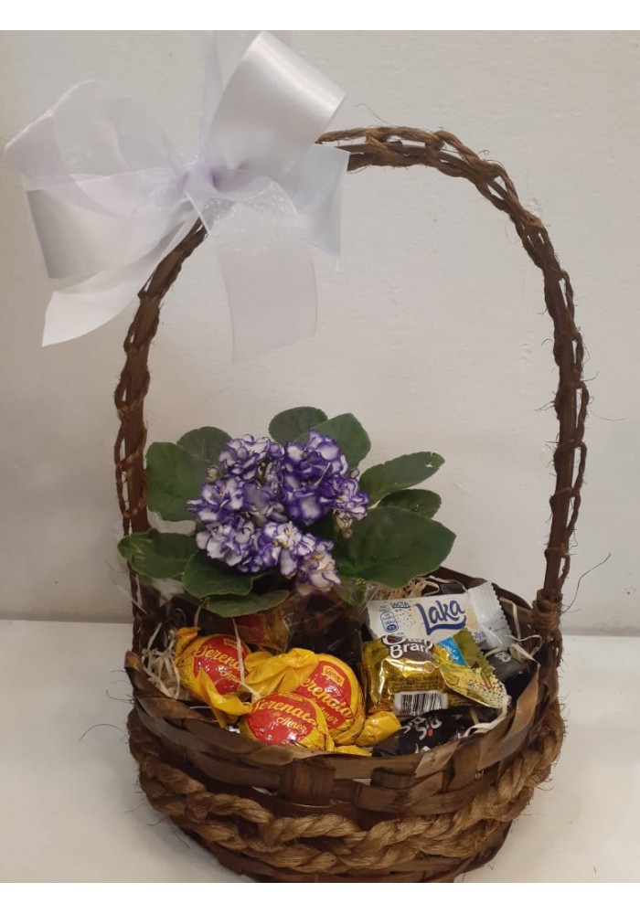 Violeta na cesta com chocolates