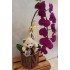Orquídea no cachepô de madeira+ pelúcia