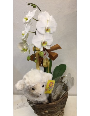 Arranjo de orquídea e pelúcia