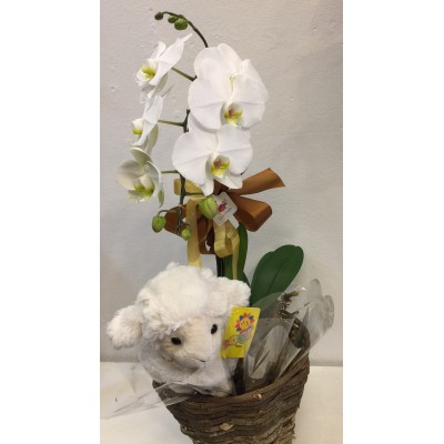 Arranjo de orquídea e pelúcia