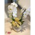 Orquídea cascata  cachepô vitrificado