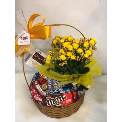 Cesta de chocolates