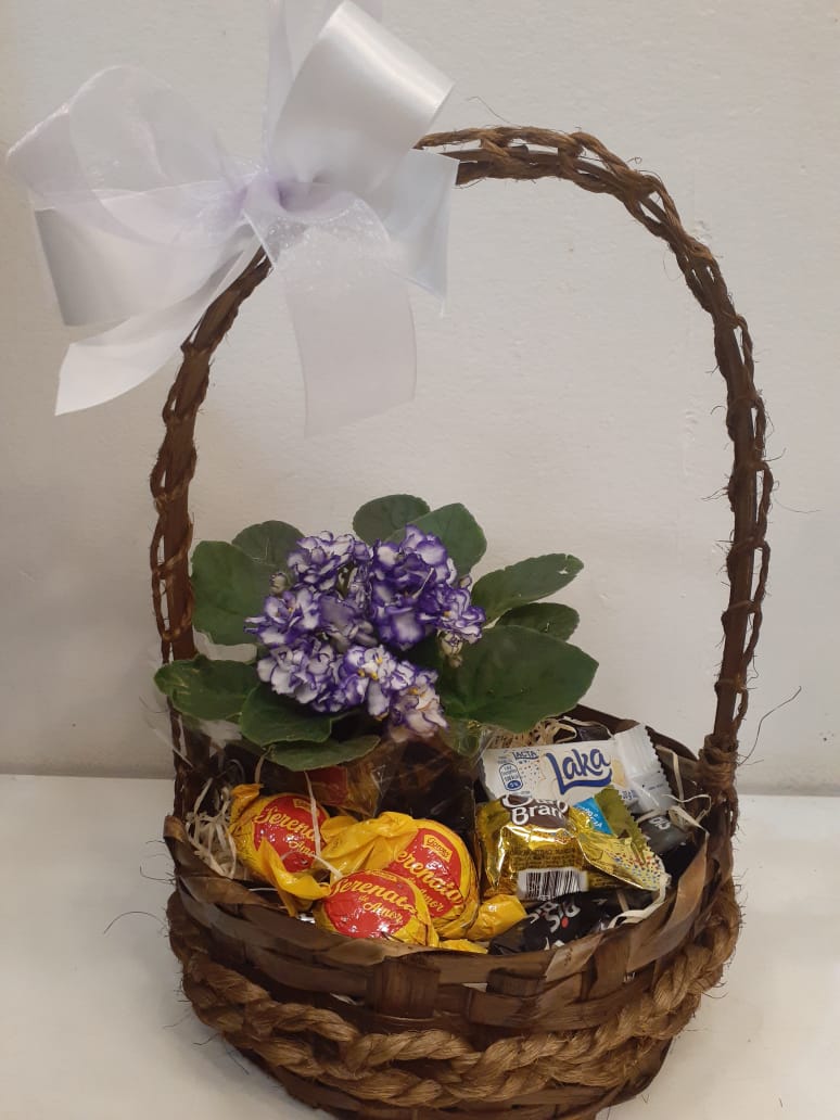 Violeta na cesta com chocolates