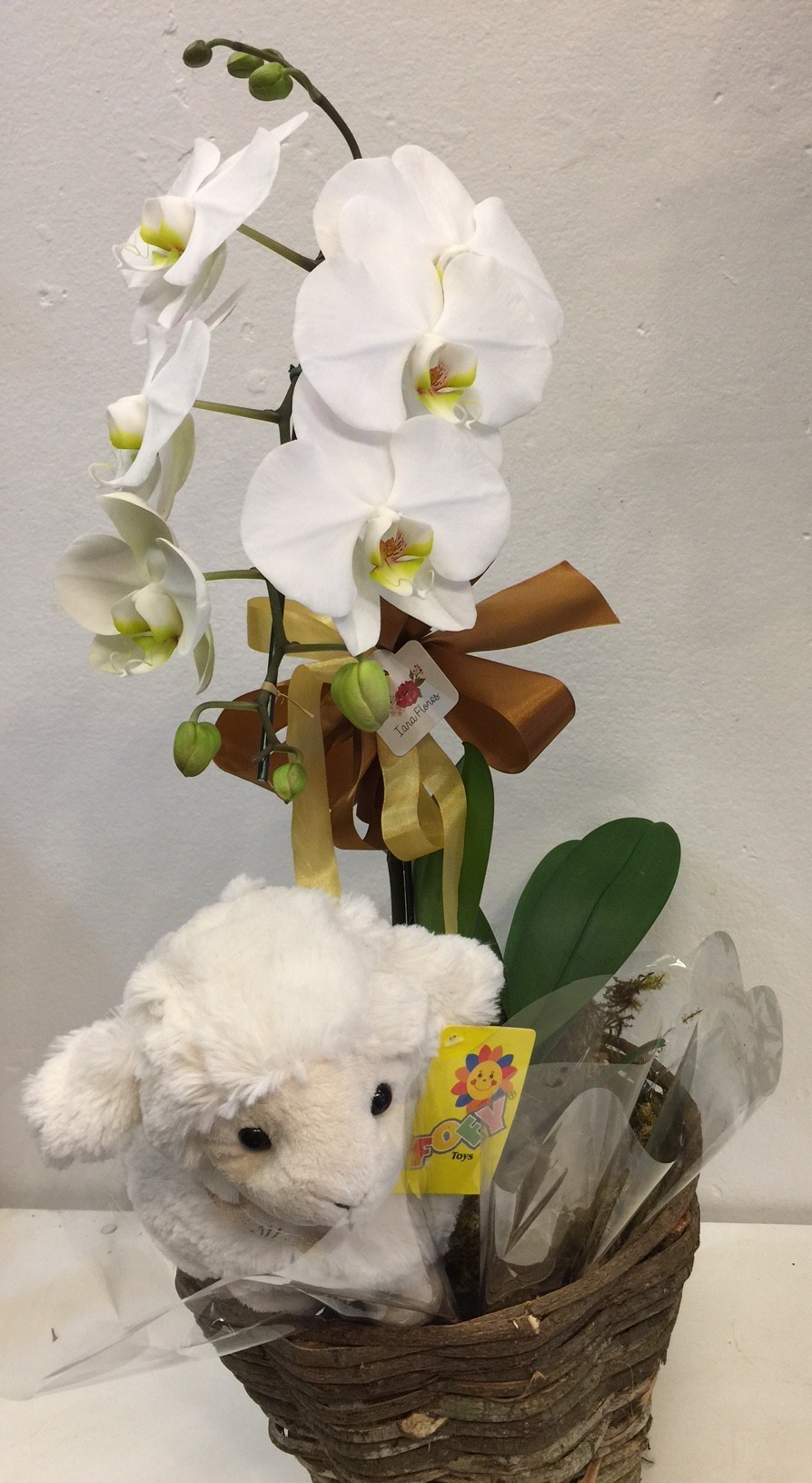 Arranjo de orquídea e pelúcia