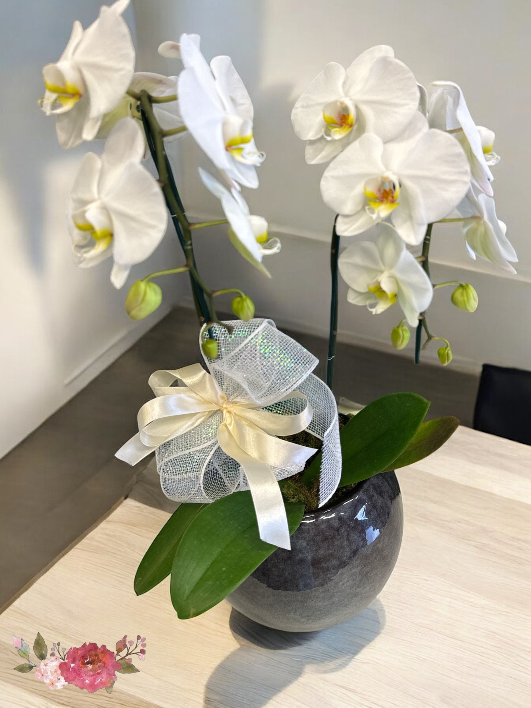 Orquídea cascata  cachepô vitrificado