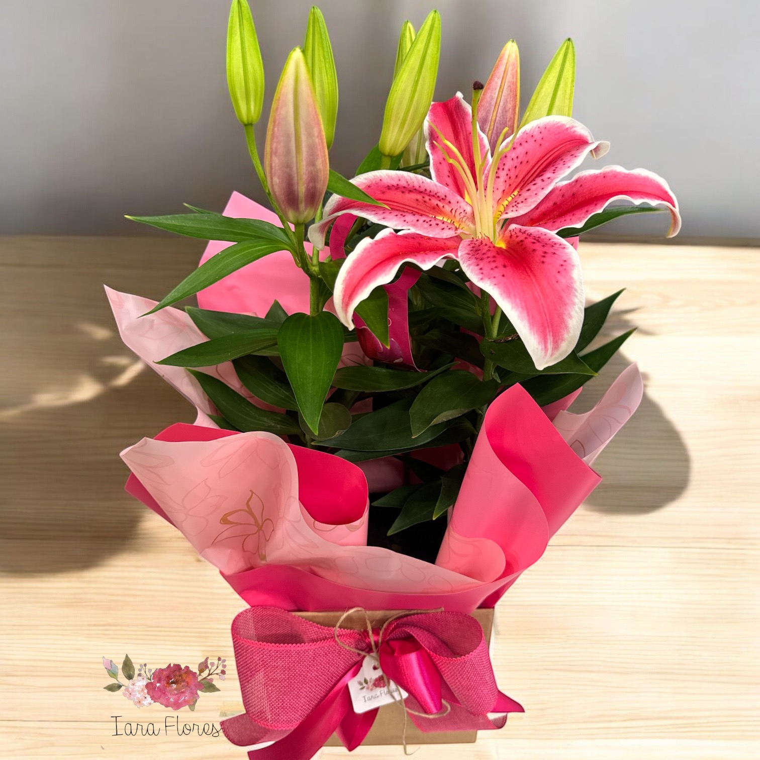 Lírio rosa na caixa cartonada 