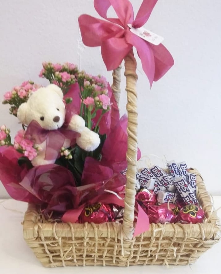 Cesta chocolate, kalanchoe e pelúcia 